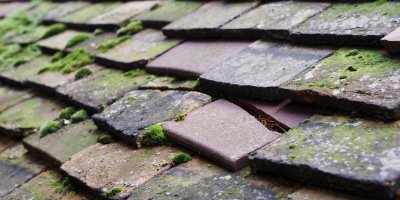 Newport Pagnell roof repair costs